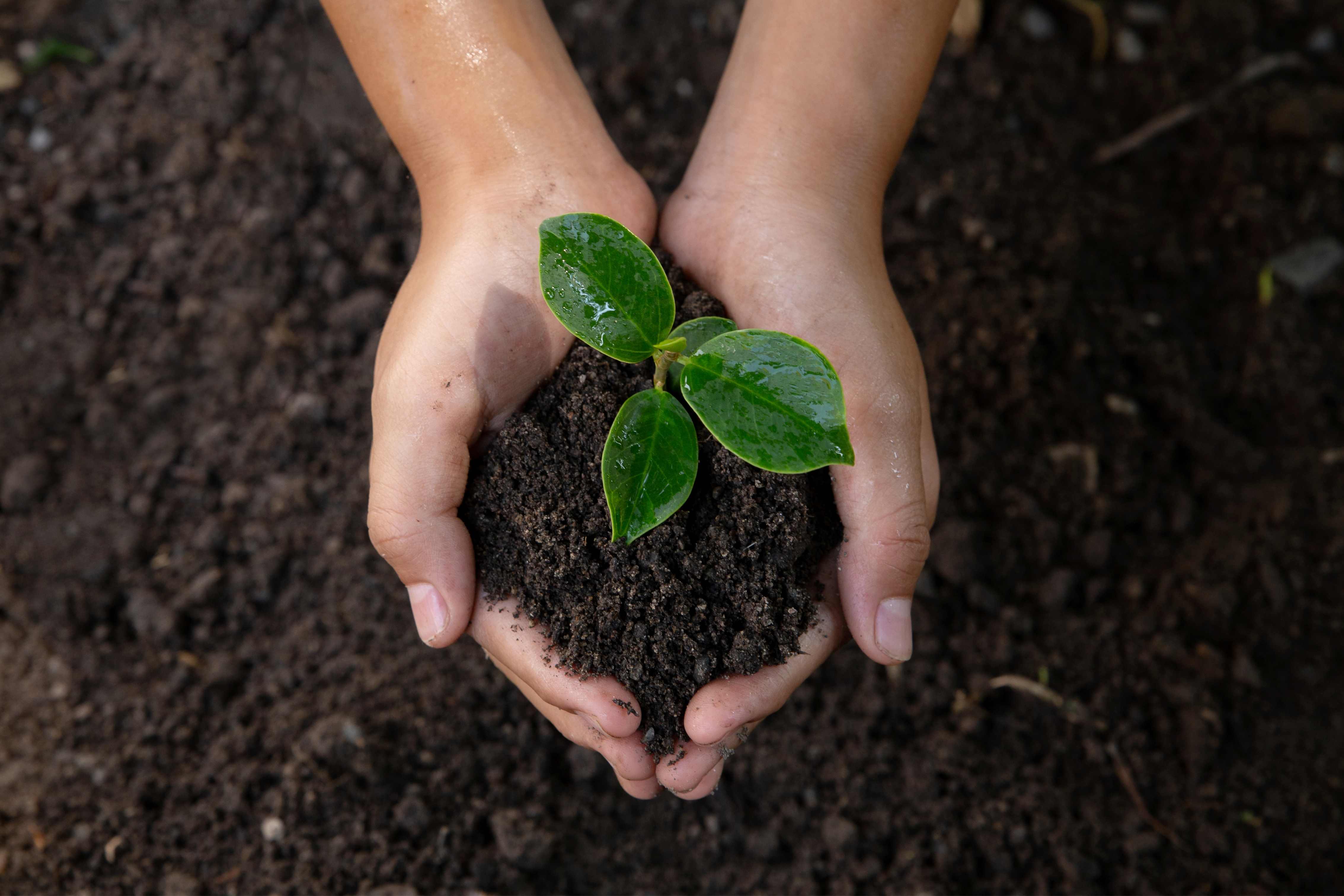 Private Impact Fund